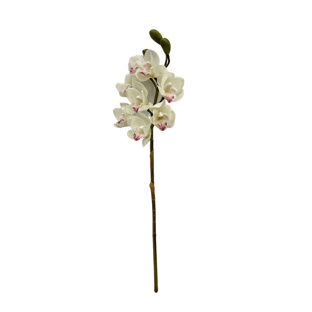 Künstliche Cymbidium-Orchidee, Real Touch